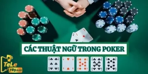 cac-thuat-ngu-trong-poker