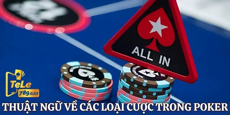 Các thuật ngữ trong Poker đối với các loại cược