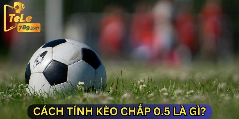 Cách tính kèo chấp 0.5 là gì?