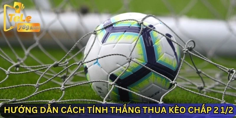 Hướng dẫn cách tính thắng thua kèo chấp 2 1/2