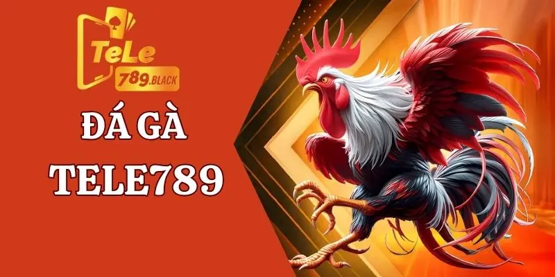 Giới thiệu thông tin về sảnh đá gà Tele789