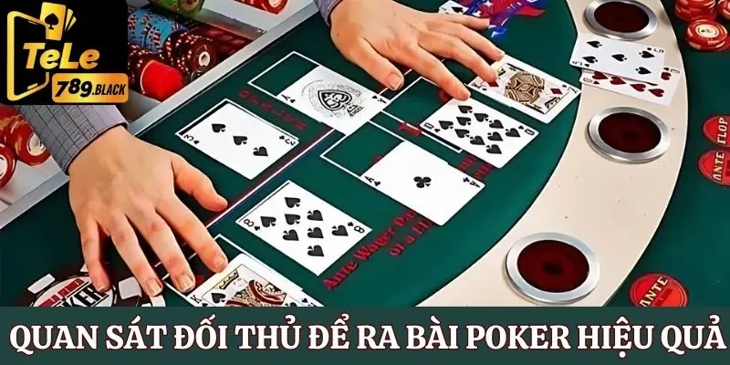 Kinh nghiệm chơi Poker hay nhờ quan sát đối thủ