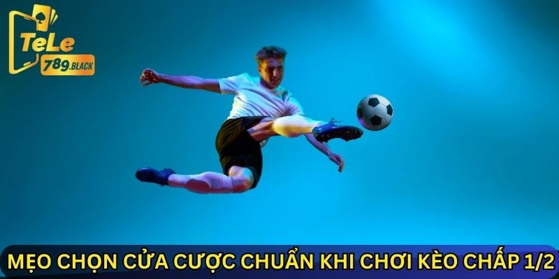 Mẹo chọn cửa cược chuẩn khi chơi kèo chấp 1/2