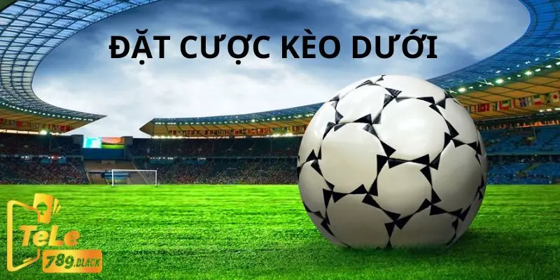 Mẹo cược kèo dưới hiệu quả cho cược thủ học hỏi