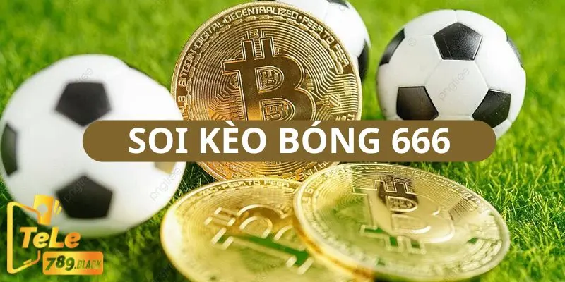 Soi kèo bóng 666 để tăng tỷ lệ thắng