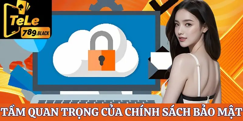 Chính sách bảo mật Tele789 đóng vai trò quan trọng như thế nào?