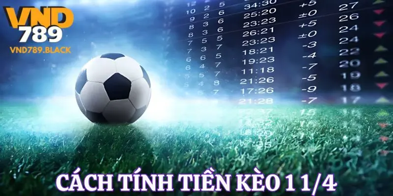 Cách tính tiền khi chơi kèo 1 1/4 trong bóng đá